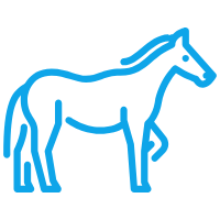 Kentucky Derby Bingo icon